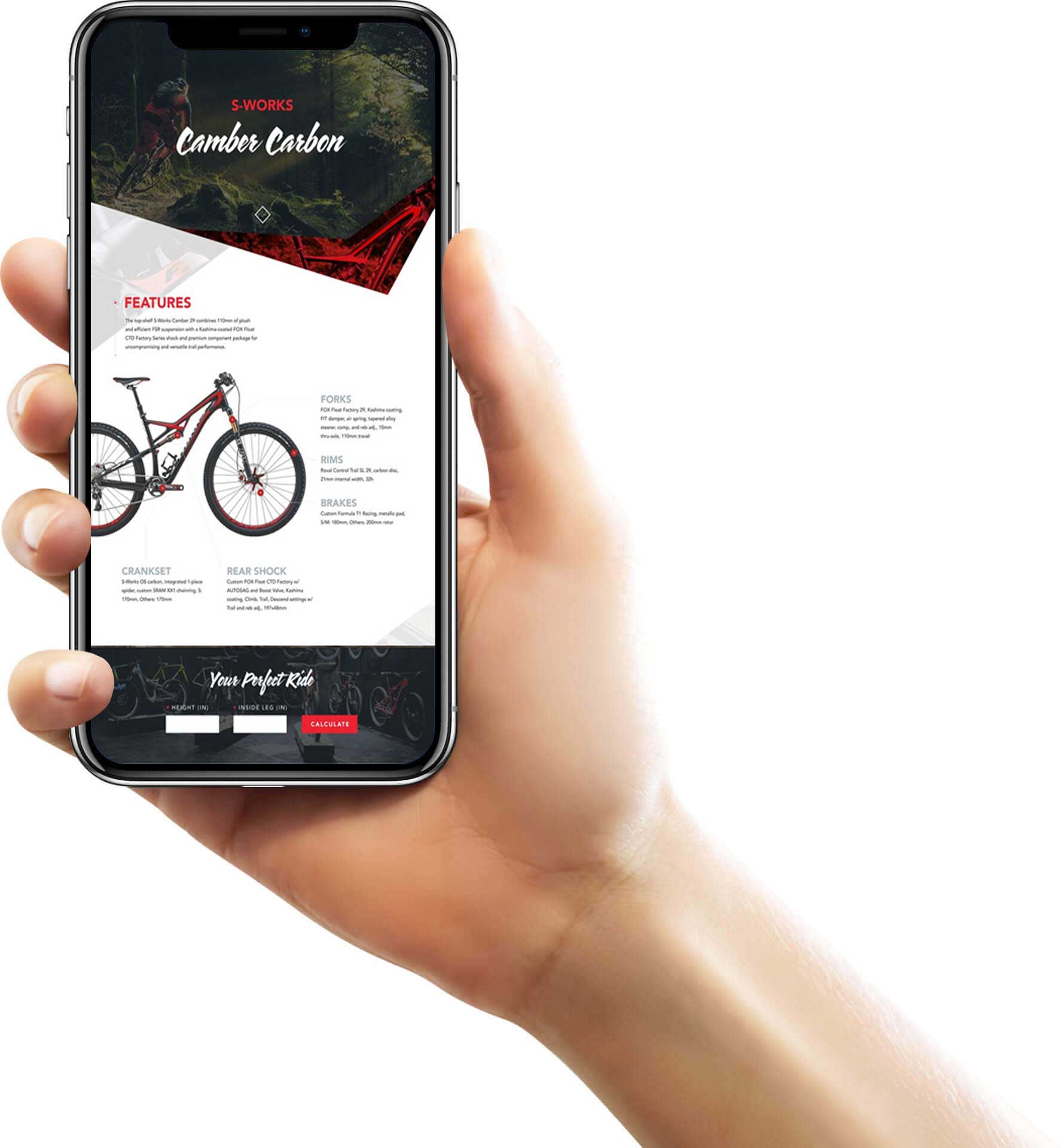 Diseño Web Tijuana
